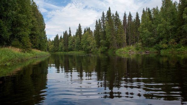 Национальный парк Водлозерский водоёмы