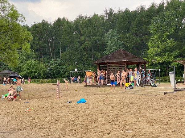 Мещерский лес озеро пляж