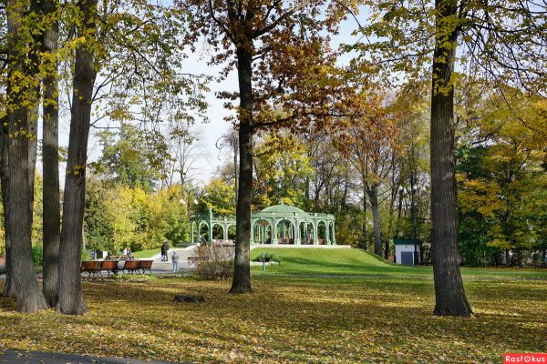 Парк Останкино пикник