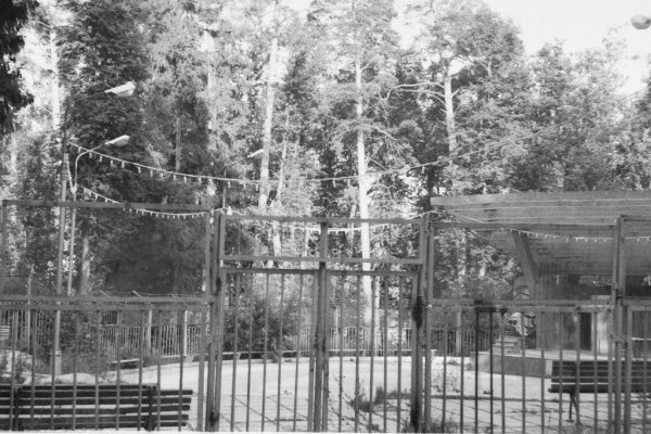 Старый Саров парк