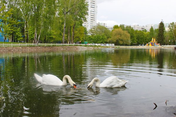 Московский Лианозовский парк