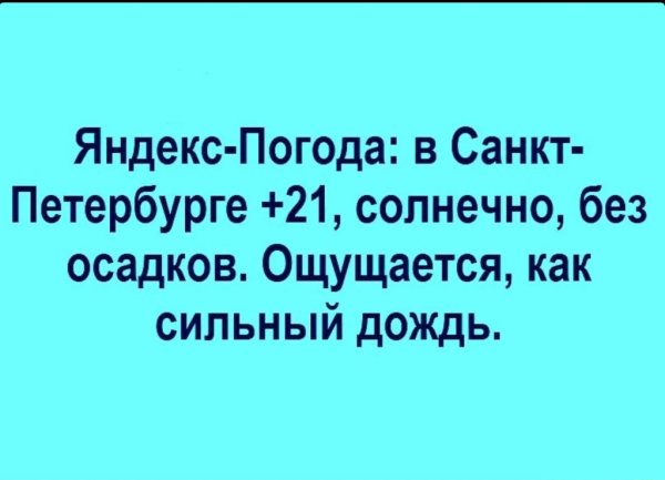 Погода в Питере приколы