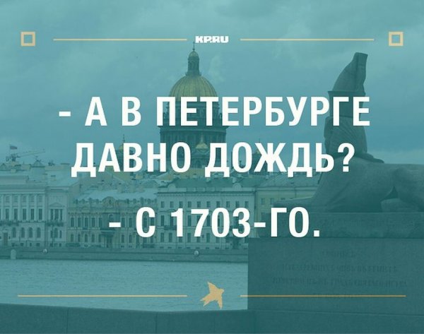 Приколы про Питер