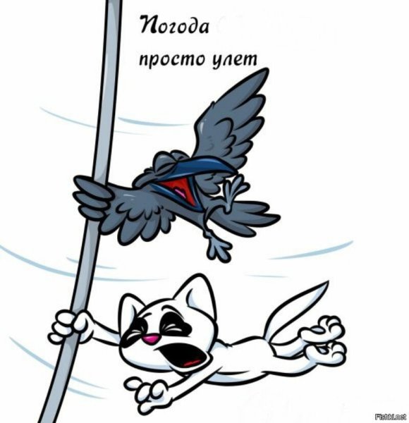 Сильный ветер прикол