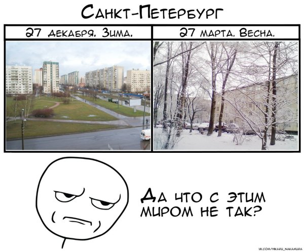 Зима в Питере прикол
