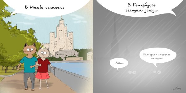 Шутки про москвичей и петербуржцев