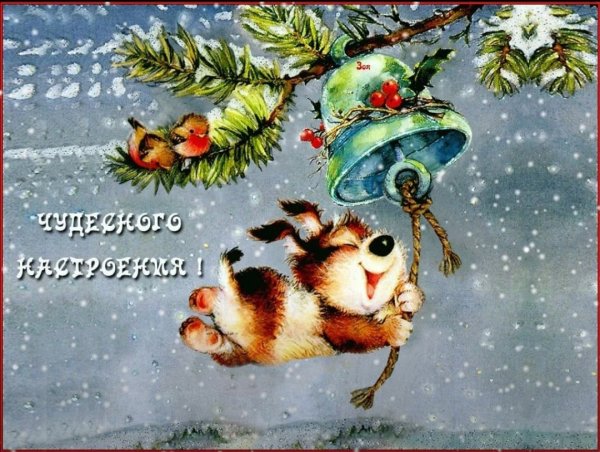 Доброго зимнего дня и хорошего настроения