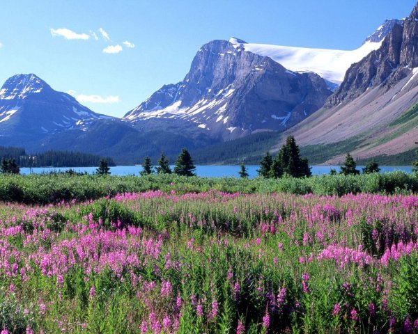"Скалистые горы" Канада Альпийские Луга