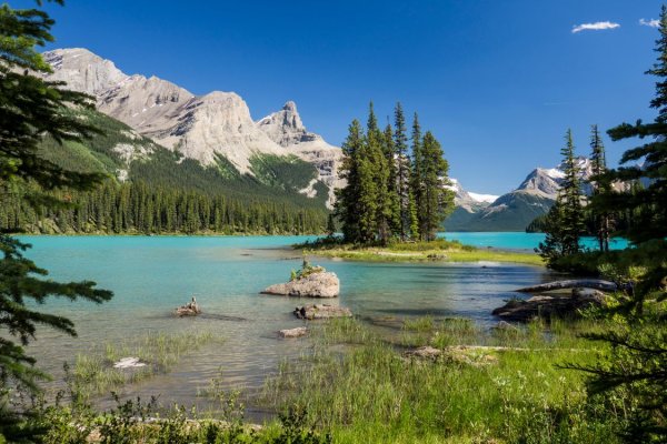 Национальный парк Джаспер, Альберта, Канада