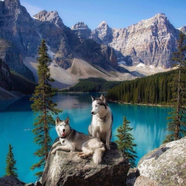 Заповедник Банф Канада