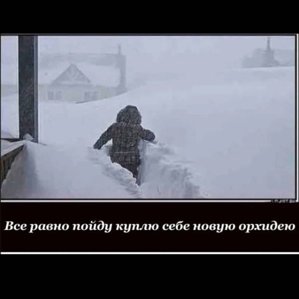 Я вмеравно Пойлу на тренировку