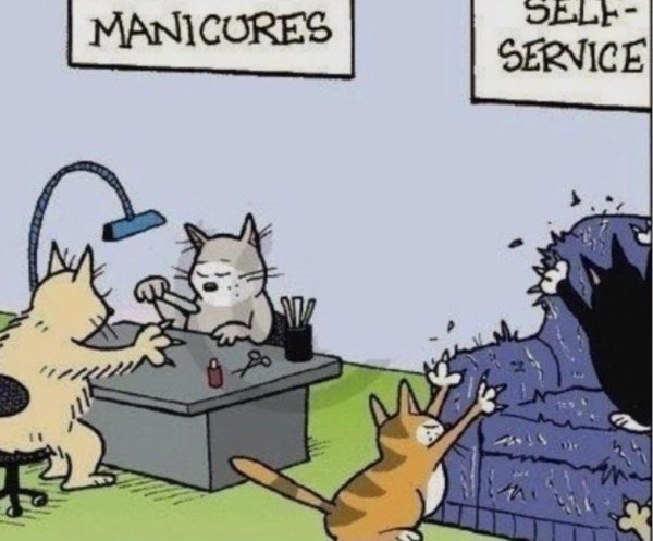 Приколы про маникюр