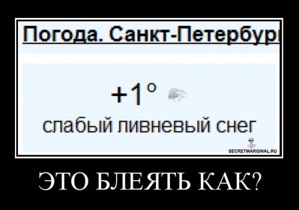 Демотиваторы про Питер