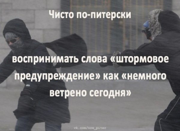 Шутки про Санкт-Петербург