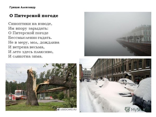 Шутки про питерскую погоду