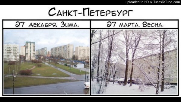 Шутки про погоду в Питере