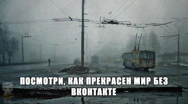 Мир без алкоголя прекрасен