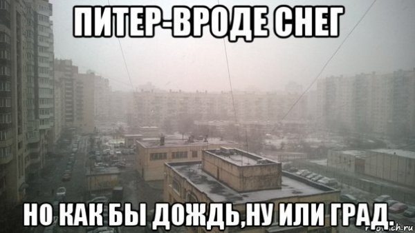 Коротко о погоде в Питере юмор