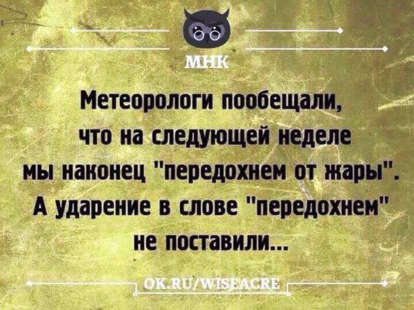 Прикольные фразы про жару