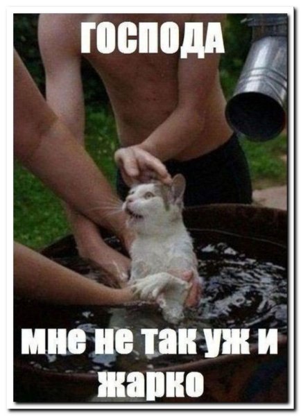 Смешные приколы про жару