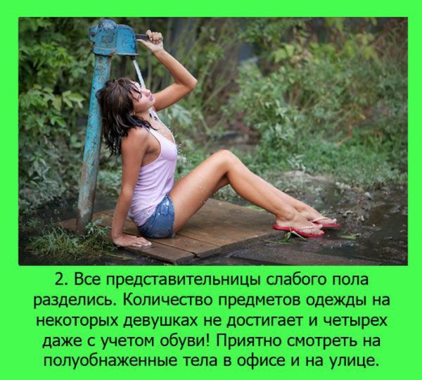 Интересные факты про лето