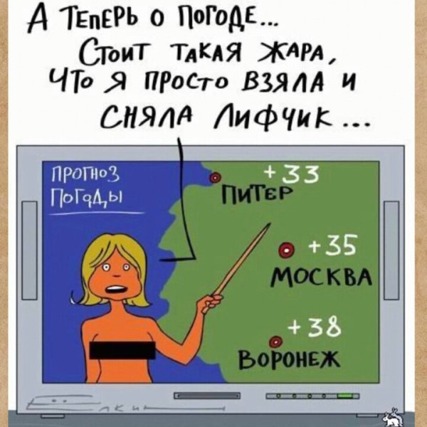 Приколы про жару