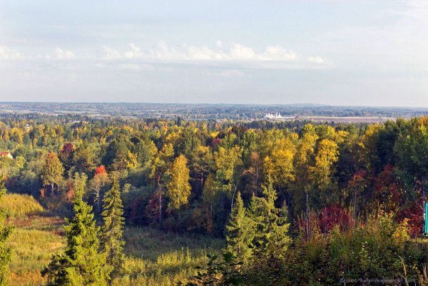 Парк русский Север Кирилловский район