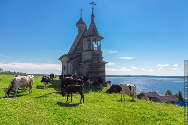 Кенозерский национальный парк