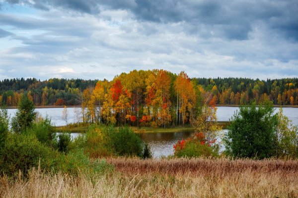 Кенозерский парк озера