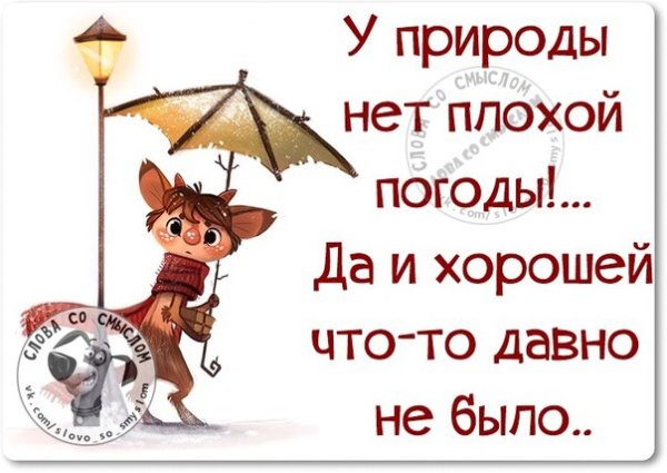 Доброго дня несмотря на погоду