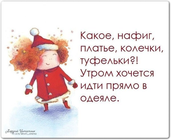 Цитаты про утро смешные