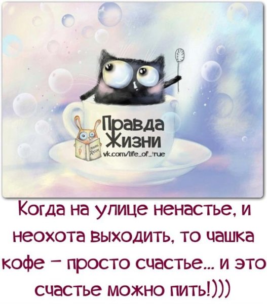 Правда жизни доброе утро