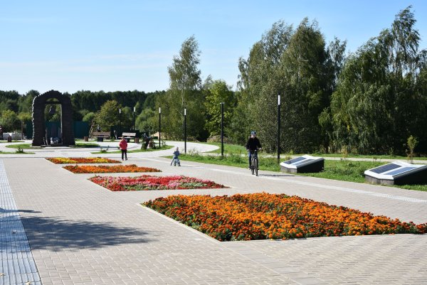 Парк Победы Кострома луг