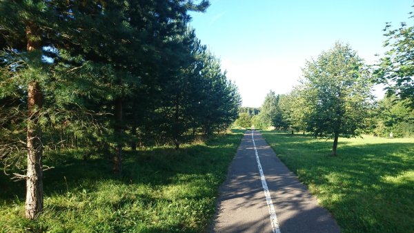 Костромской парк Победы