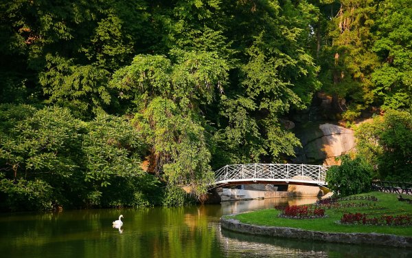 Уманский парк Софиевка беседка
