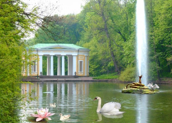 Софиевский дендропарк Умань