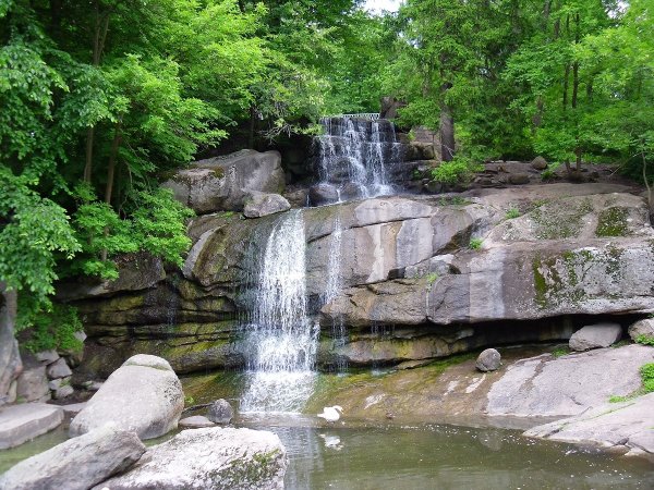 Софиевский дендропарк Умань