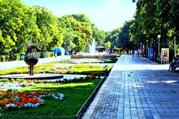 Г Ейск парк Поддубного