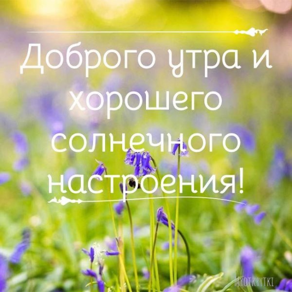 Доброе утро хорошего настроения в любую погоду