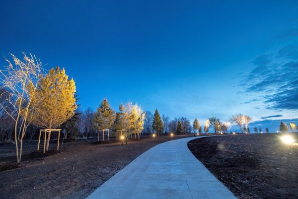 Парк имени Гагарина Энгельс