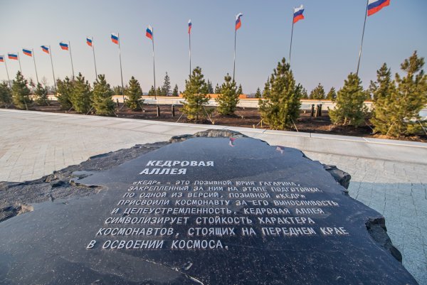 Парк Юрия Гагарина Саратов