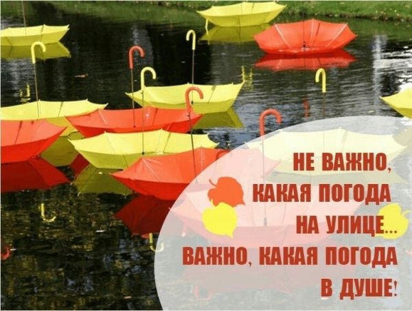 Хорошего настроения в дождливую погоду