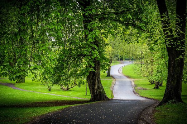 Дорога в парке