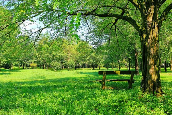 Летний парк