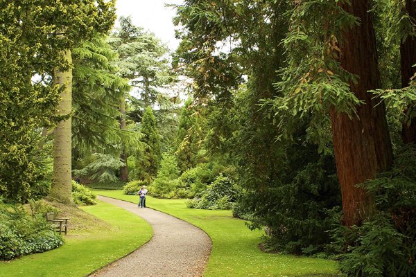 Теттен парк Англия