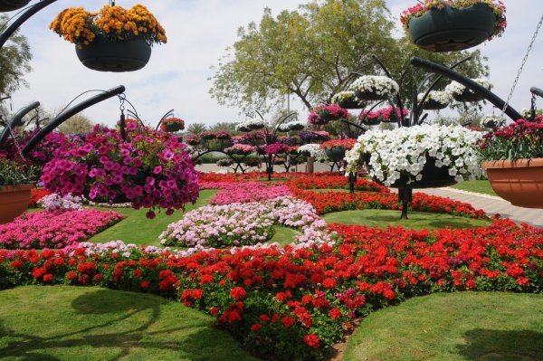 Al Ain Paradise парк