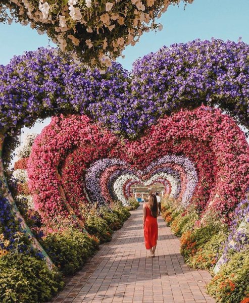 Парк цветов Dubai Miracle Garden