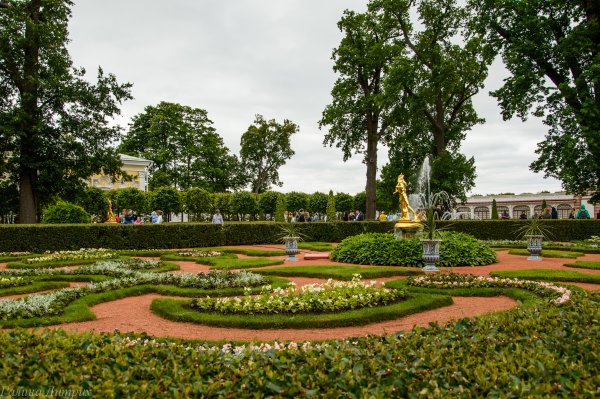 Нижний парк Петергофа, Петергоф