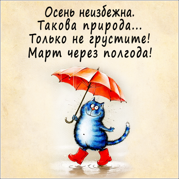 Осеннее настроение цитаты прикольные