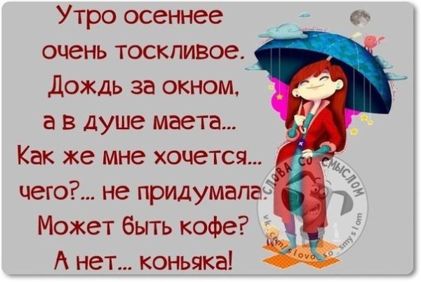 Доброе дождливое утро с юмором